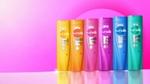 Six colourful bottles of new Sunsilk shampoo on a pink background. Sunsilk is part of Unilever Beauty & Wellbeing.