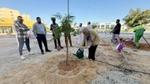Unilever and JAFZA teams planting trees.