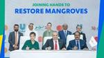 Group of leaders sitting at a table, signing a sustainability focused pledge on restoration of mangroves.