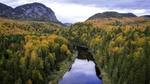Aerial view of a river snaking through a dense forest on both banks with mountains in the distance